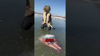 This boy found fish frozen in the ice [upl. by Melva303]