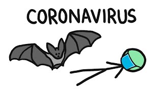 Why Do Bats Carry So Many Diseases like Coronavirus [upl. by Weight86]