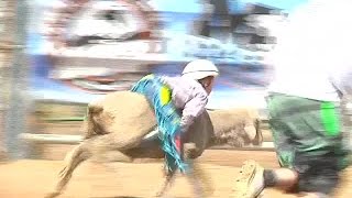 Mutton Bustin at the East Helena Rodeo [upl. by Persons]