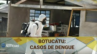 BOTUCATU CASOS DE DENGUE 13052024 [upl. by Niotna]