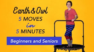 Beginners and Seniors 5 Minute Trampoline Rebounding Workout [upl. by Lowry590]