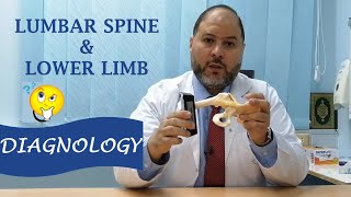 برنامج DIAGNOLOGY الحلقة 3  LOWER LIMB amp LUMBAR SPINE [upl. by Bak]