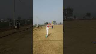 1st slip catchtrending cricket shortsvideo [upl. by Asserat]