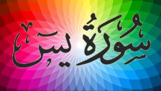 Surah Al Yasin YaseenDaily Quran Recitation Islamic video learn Quranquranrecitationislamquran [upl. by Vey268]