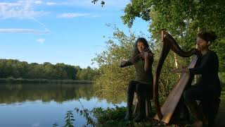 Celtic music quotThe Wild Swanquot Mathide and Héloïse de Jenlis harp and violin [upl. by Notyrb413]