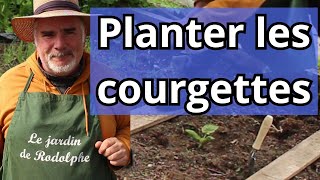 Comment bien planter les courgettes en pleine terre [upl. by Icart]