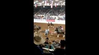 Abilene Western Heritage Classic Clydesdales May 9 2014 [upl. by Asiel]