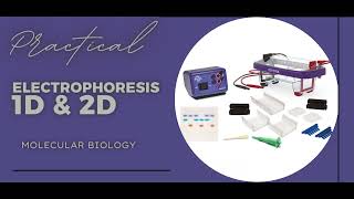 Gel Electrophoresis 1D amp 2Dgel electrophoresis molecularbiology [upl. by Krawczyk]