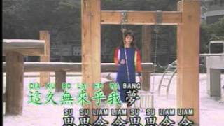 Hokkian Song  為何你愛著別人 Wie Ho Li Ai Dio Pa Lang [upl. by Lietman147]