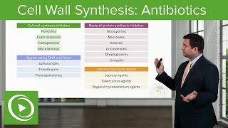 Cell Wall Synthesis Inhibitors Antibiotics – Antimicrobial Pharmacology  Lecturio [upl. by Rivkah154]