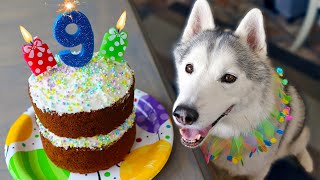 The BEST Carrot Cake Birthday Cake for Dogs 🎂 DIY Dog Treats [upl. by Kippy]