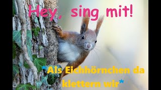 🎵🤍🐿️🧗‍♂️🌲👀quotAls Eichhörnchen da klettern wirquot Kinder u Volkslieder  Liedtext Notenlink ↓InfoBox [upl. by Saraiya]