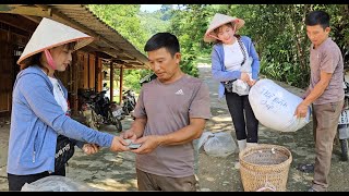 Buy fingerlings to drop in rice fields how to release fish in rice fields [upl. by Pokorny]