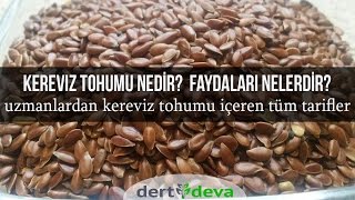 Kereviz Tohumu nedir Faydaları Kereviz Tohumu İçeren Formüller  DertDeva [upl. by Aissak]