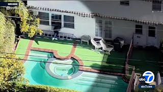 Burglar falls into Beverly Hills pool while trying to escape [upl. by Adolphe]