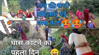 घास 🌿 काटने ka पहला दिन l। village life pahadi lifestyle vlog leelanegivlog uttrakhandi 🌄 [upl. by Eitra]