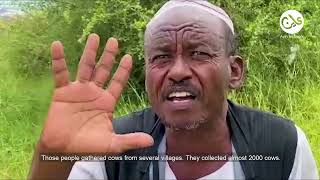 Testimonies Surviving Eastern AlJazeera attacks [upl. by Dolora]