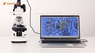 Introducing 40X 5000X Compound Trinocular Optical Microscope [upl. by Alair]