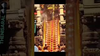 போனால் சபரிமலை கேட்டால் சரணம் கோசம்  ayyappa tamil sabarimala god shortsfeed shorts [upl. by Ozne]