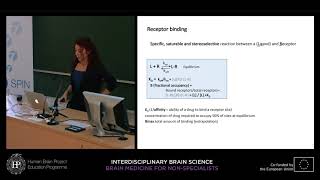 Lecture 10 Sandra SantosSierra  Principles of neuropharmacology [upl. by Aitam]