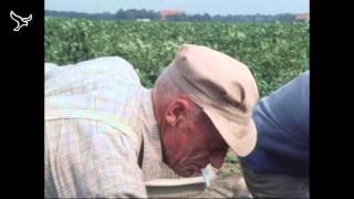 Pioniers de kolonisten van de Noordoostpolder van 19052013 [upl. by Ernest]