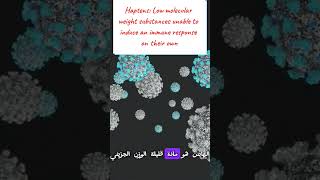 Immunogen Antigen Haptens amp Epitopes مفاهيم مهمة لفهم المناعة medicalstudent lnl immunology [upl. by Isnyl772]