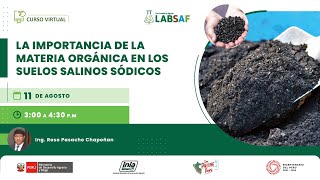 La importancia de la materia orgánica en los suelos salinos sódicos [upl. by Prosperus526]