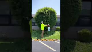 THE BEST WAY TO TRIM A BUSH 😲♥️ [upl. by Awram]