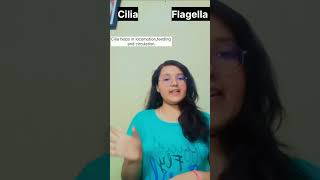 Cilia vs Flagella🔥 neetug neetexam trending mnemonic shorttricks biology botany [upl. by Proffitt]