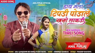 Anil piplaj  हाथ मेलो टिपणी  adivasi new song 2023 [upl. by Launam284]