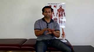 All About Quadriceps Tendonitis And How To Treat It Holistically  Manu Kalia  Video 140 [upl. by Emrich]