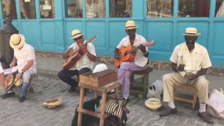 Cuban Music in Havana Cuba  April 2017 [upl. by Rosina]