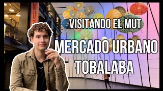 Visitando el Mercado Urbano Tobalaba  Mi Primer VLOG en la calle [upl. by Tenenbaum164]