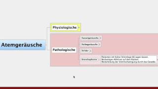 Atemgeraeusche Pathologische und Physiologische für die Heilpraktikerausbildung [upl. by Otte]