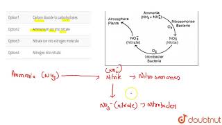 Nitrosomonas and Nitrobacter convert [upl. by Yerkovich487]