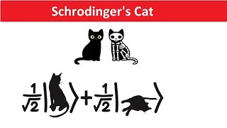 Schrodingers Cat Explained in Hindi  Quantum Physics Many World Theory amp Reality [upl. by Avle]