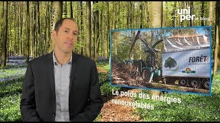 “La biomasse représente 40  des énergies renouvelables”  Uniper le Blog [upl. by Isborne212]