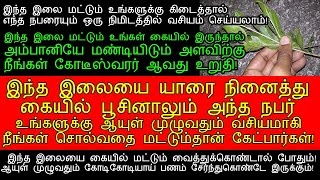 இந்த இலையை மட்டும் கையில் கிடைத்தால் பணம் பலமடங்கு சேர்ந்துகொண்டே இருக்கும்panam sera pariharam [upl. by Kosiur]