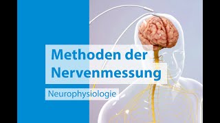 Neurophysiologie Messungen des Nervensystems [upl. by Naicad]