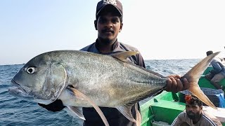 Catching Giant Trevally Marine Cat Fish amp Blubber Lip Snapper in Sea [upl. by Aihpledalihp]