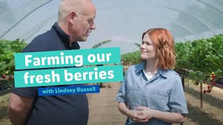 Farming our Fresh Berries Strawberries  Lidl GB [upl. by Alvy]