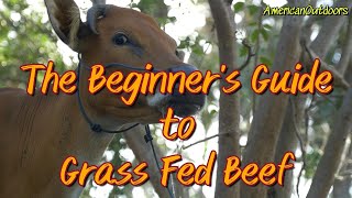 THE BEGINNERS GUIDE TO GRASS FED BEEF [upl. by Old]