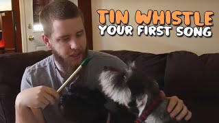 New to the Irish Tin Whistle  Check out This Perfect Song for Beginners [upl. by Smiga586]