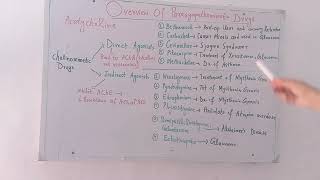 Overview Of Parasympathomimetic DrugsAgentsAutonomic Drugs Pharmacology [upl. by Savell]