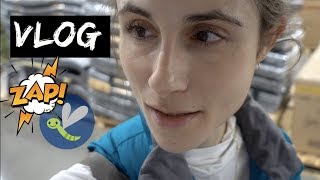 VLOG BUG ZAPPERS AND A COSTCOKROGER GROCERY HAUL DR DRAY [upl. by Eanom]