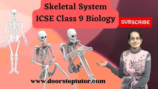 Skeletal System  Axial and Appendicular Skeleton  ICSE Class 9 Biology [upl. by Moreno946]