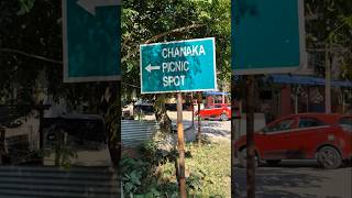 Chanaka Picnic Place Mayong Resort Assamese Mini Vlog [upl. by Friederike]