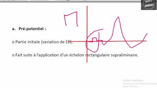 Le potentiel daction [upl. by Anawot]