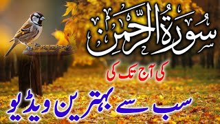 SORT REHMAN AL QURAN VERY BEAUTIFUL VEDIO QARI ABDUL BASIT [upl. by Retsehc593]