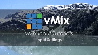 vMix Input Tutorials How to use Input Settings [upl. by Aynekat]